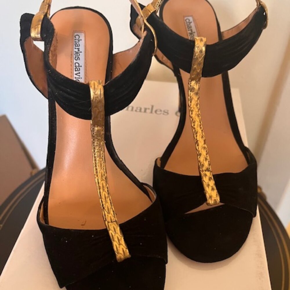 Charles David SZ 8.5 Gold heeled stilettos